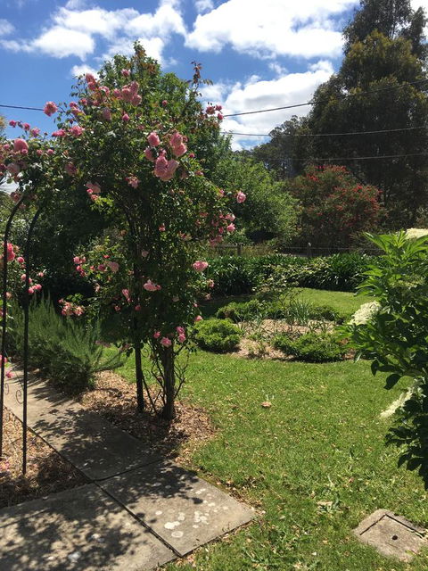 Hilltop Too - Accommodation QLD 13