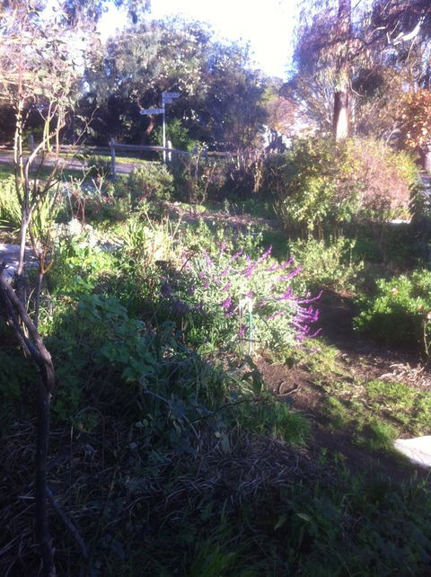 Hilltop Too - Accommodation QLD 12