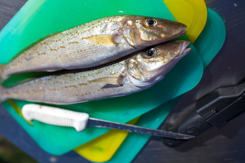 Modra\'s Apartments - Accommodation QLD 17