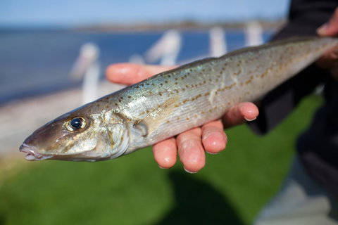 Modra\'s Apartments - Accommodation QLD 18