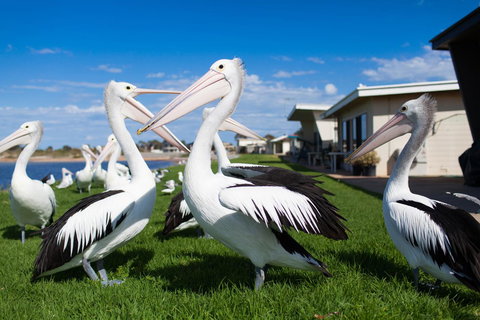 Modra\'s Apartments - Accommodation QLD 13