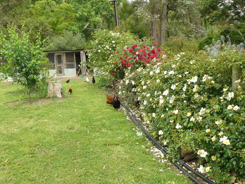 Camawald Coonawarra Cottage B&B - Accommodation QLD 3
