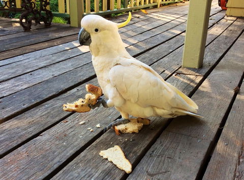 Aldgate Valley Bed And Breakfast - Accommodation QLD 40