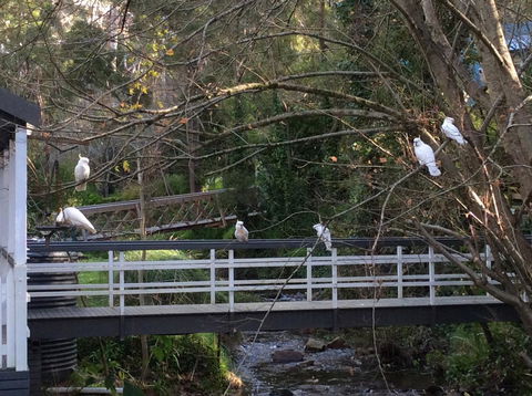 Aldgate Valley Bed And Breakfast - Accommodation QLD 41