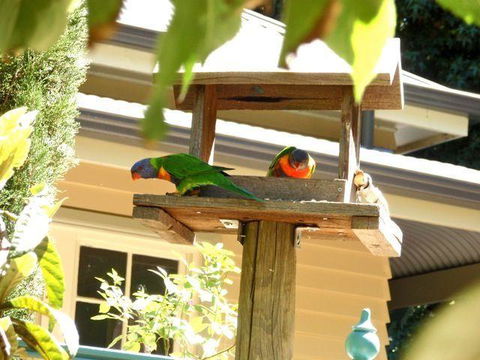 Aldgate Valley Bed And Breakfast - Accommodation QLD 42