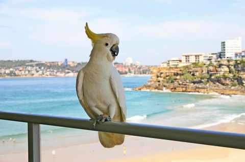 Beachfront Bliss - Accommodation QLD 23