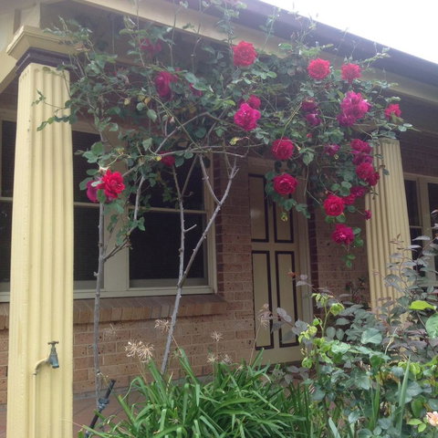 Oats Cottage - Accommodation QLD 3