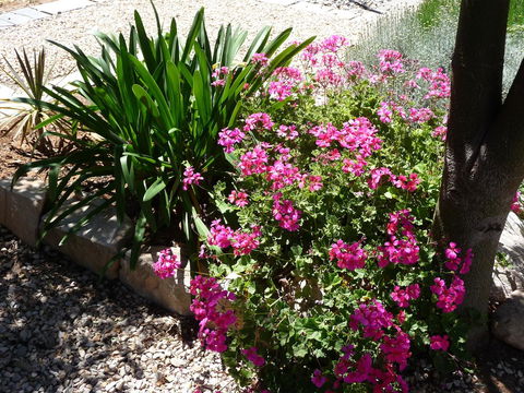 Country Bakehouse Accommodation - Accommodation QLD 18