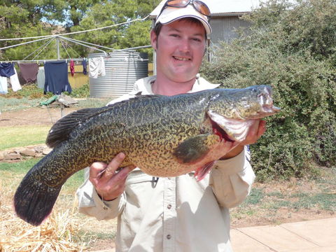 Country Bakehouse Accommodation - Accommodation QLD 20