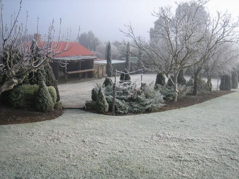 Vineyard Cottage BnB - Accommodation QLD 15