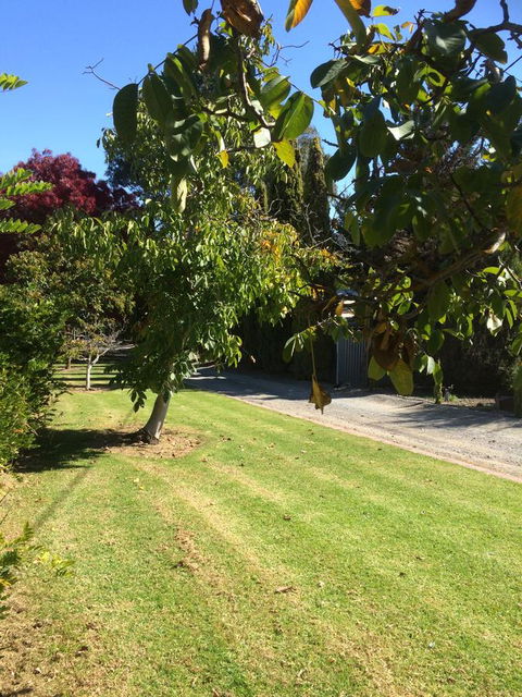 Vineyard Cottage BnB - Accommodation QLD 17