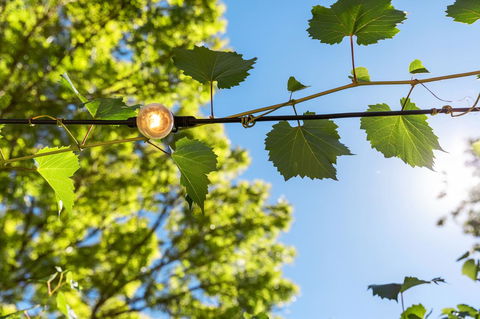 Adelaide Hills Retreats - Accommodation QLD 32