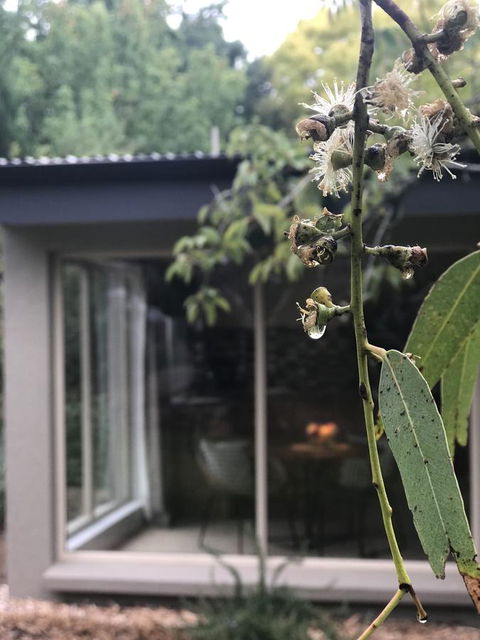 Adelaide Hills Retreats - Accommodation QLD 9