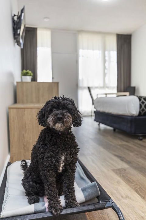 Adelaide Road Motor Lodge - Accommodation QLD 2