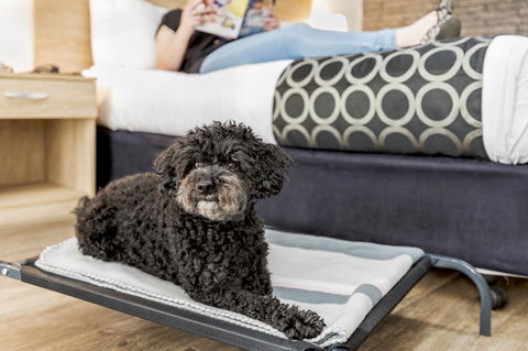 Adelaide Road Motor Lodge - Accommodation QLD 5