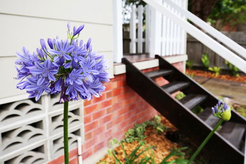 Hudson Bay @ Basin View-Pet Friendly-15 Mins To Hyams Beach - Accommodation QLD 38