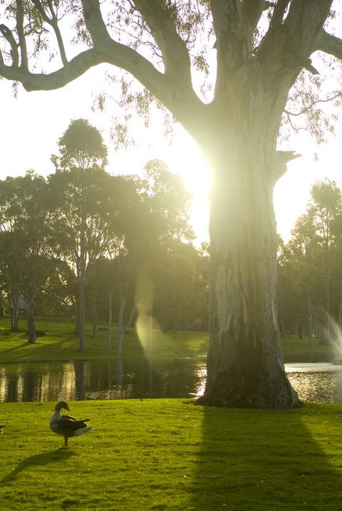 Serafino McLaren Vale - Accommodation QLD 15