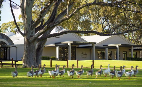 Serafino McLaren Vale - Accommodation QLD 0