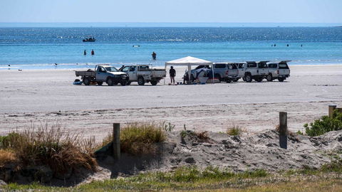 Wallaroo Holiday Park - Accommodation QLD 9