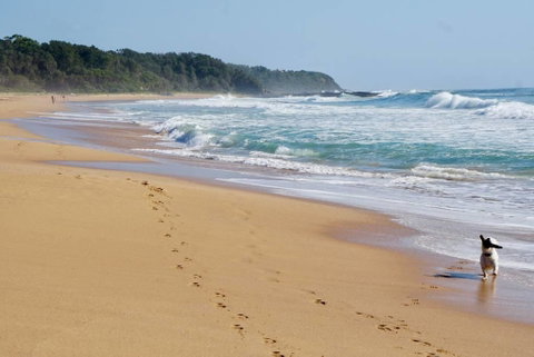 Culburra Beachhouse - Accommodation QLD 7