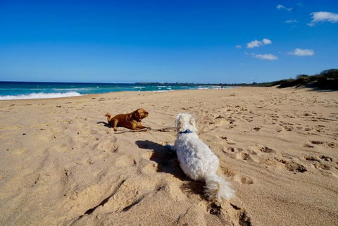 Culburra Beachhouse - Accommodation QLD 8
