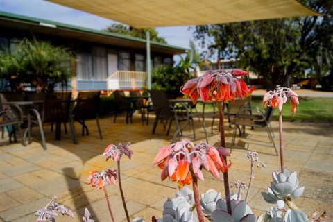 Kangaroo Island Seaview Motel - Accommodation QLD 3