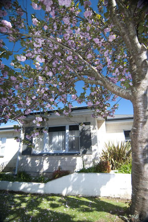 The Commodore - Accommodation QLD 14