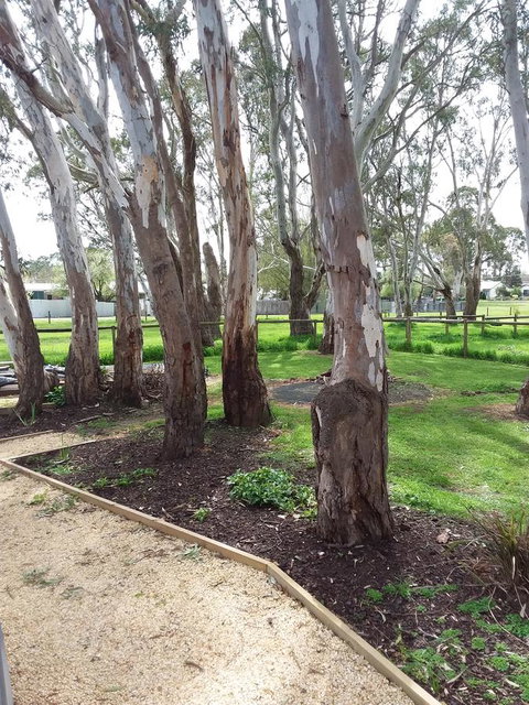 Cloisters Of Kalangadoo - Accommodation QLD 6