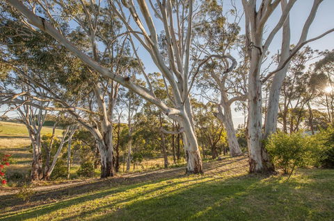 Discovery Parks - Hahndorf - Accommodation QLD 4