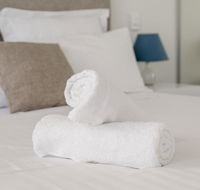 Ther-Rich Elegant 1BR Apartment in Walkerville - Accommodation QLD