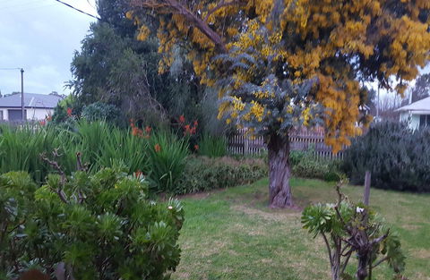 Ruby\'s Cottage - Accommodation QLD 19