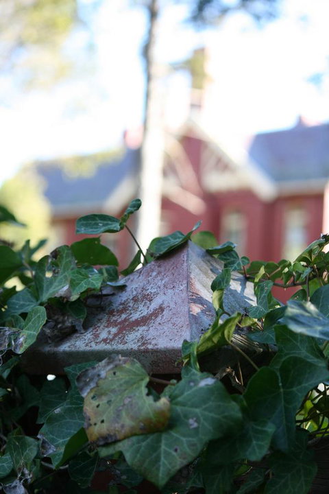 Pirralilla Estate Adelaide Hills - Accommodation QLD 27