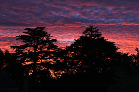 Pirralilla Estate Adelaide Hills - Accommodation QLD 26