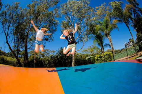 BIG4 Renmark Riverfront Holiday Park - Accommodation QLD 37