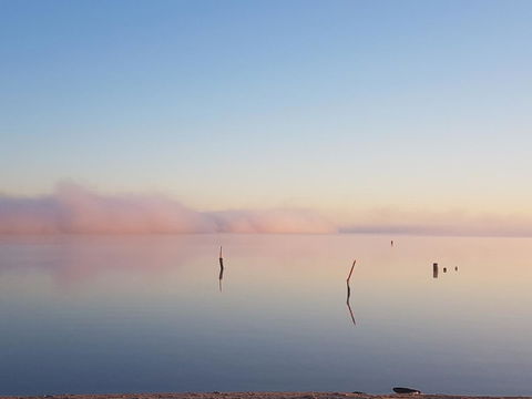 Barmera Lake Resort Motel - Accommodation QLD 3