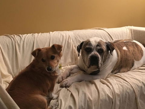 KI Dragonfly Guesthouse - Accommodation QLD 34