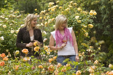 The Lyndoch Motel - Accommodation QLD 7