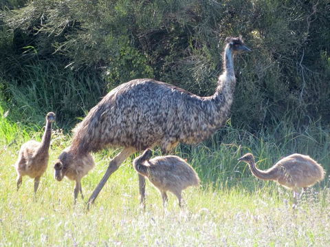 Edge Of Innes - Accommodation QLD 13