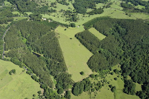 SummerHills Retreat Byron Bay - Accommodation QLD 19