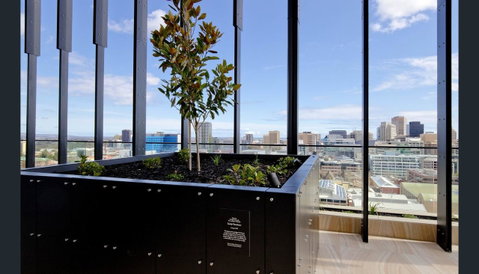 ONE Adelaide CBD - Accommodation QLD 33