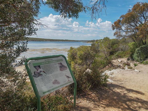 Willygunyah - Accommodation QLD 31