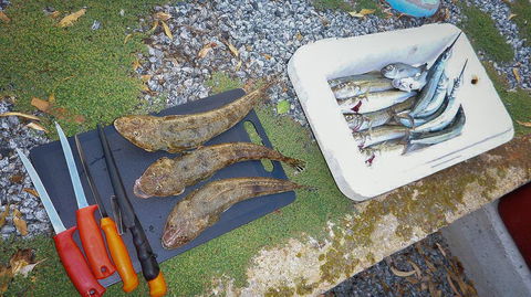 Willygunyah - Accommodation QLD 30