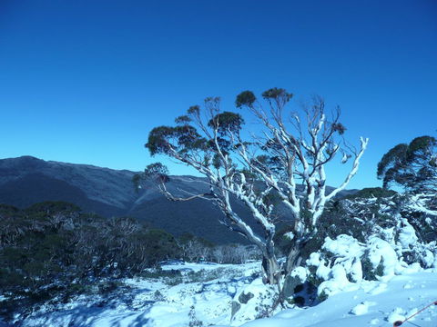 CHILL-OUT - Thredbo - Accommodation QLD 33