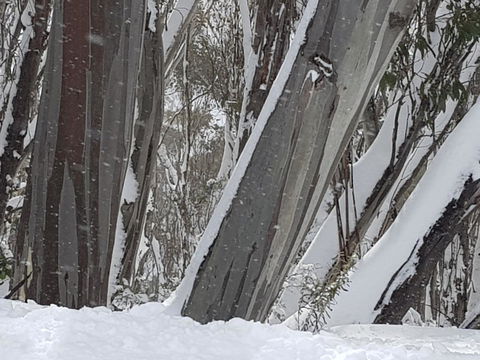 CHILL-OUT - Thredbo - Accommodation QLD 30