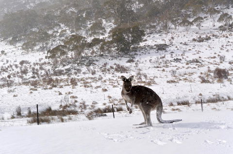 CHILL-OUT - Thredbo - Accommodation QLD 27
