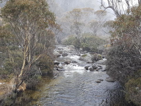 CHILL-OUT - Thredbo - Accommodation QLD 23