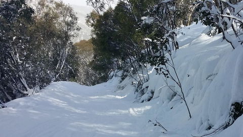 CHILL-OUT - Thredbo - Accommodation QLD 17