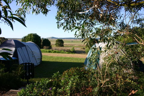 Millicent Hillview Caravan Park - Accommodation QLD 43