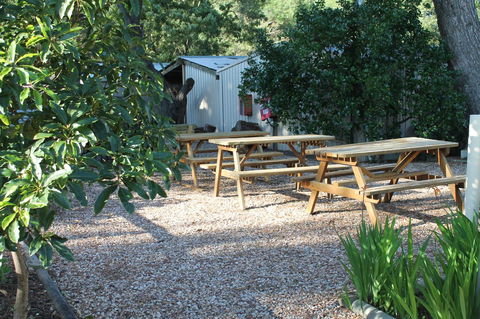 Millicent Hillview Caravan Park - Accommodation QLD 9