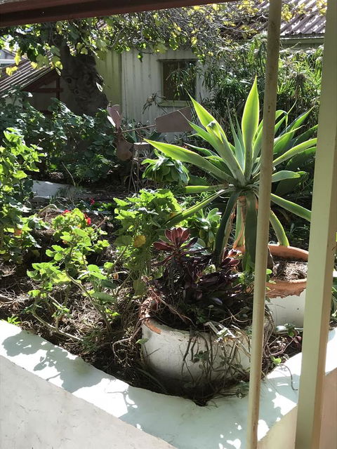 Cosy Nook - Accommodation QLD 19